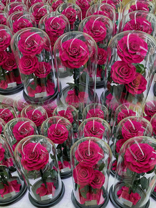 Rosa Preservada en Cúpula <span class=keywords><strong>de</strong></span> Cristal, Flor Real Eterna con Campana <span class=keywords><strong>de</strong></span> Cristal, Regalo Romántico para el Día <span class=keywords><strong>de</strong></span> San Valentín y el Día <span class=keywords><strong>de</strong></span> la <span class=keywords><strong>Madre</strong></span> - Product Image 6