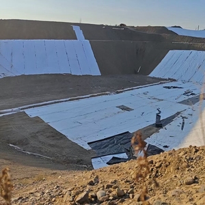 Géotextile non tissé en polypropylène blanc 600 g/m² en gros à prix réduit - Product Image 2