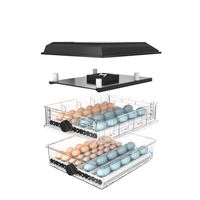 Incubateur et éclosion pour œufs de poulet, 64 pièces, prix d'usine, petit type, approvisionnement en usine