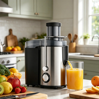 Mixeur Électrique Commercial Hydraulique 800 Watts pour Smoothies, Usage Professionnel et Domestique, Vitesse Réglable pour Mélanger les Légumes