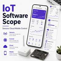 Servicios de Desarrollo de Software para Dispositivos IoT, Sensores, Controladores, Hardware Inteligente, Compatibilidad con MAC OS, Versión para Internet, en Stock