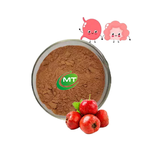 Halal Cung cấp nhà máy cấp thực phẩm mẫu miễn phí Chất lượng cao flavonoid/vitexin táo gai Berry chiết xuất - Product Image 1