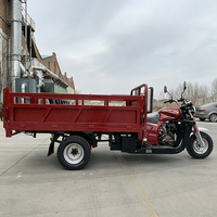 Tricycle cargo à trois roues à moteur, moteur à essence 300 cm³ refroidi par eau, avec déchargement automatique