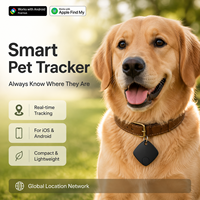Traceur GPS pour animaux de compagnie anti-perte sans fil en plastique ultra-fin avec suivi de localisation en temps réel, caméra à distance, portée illimitée, léger, compatible iOS