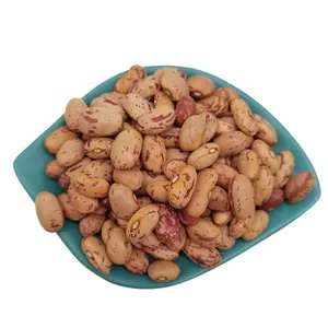 Chinese Light Speckled Kidney beans sugar beans pinto beans for sale