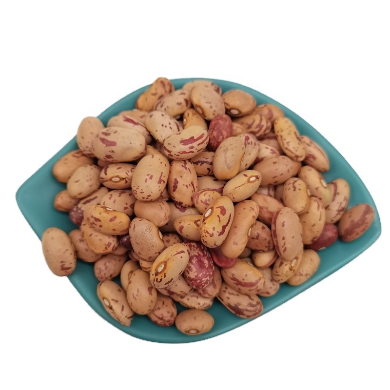 China Origin Red Adzuki Beans Vigna