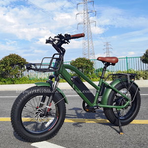 Expédition rapide Vélo électrique pour enfants de <span class=keywords><strong>20</strong></span> <span class=keywords><strong>pouces</strong></span> Pneu gras Step Thru E-Bike 48V 750W Vélo électrique pour enfants Vélo de ville électronique - Product Image 4