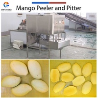 Fengxiang Commerciële Hoge Kwaliteit 304 RVS Groente- en Fruit Mango Verwerkingsmachine CE Gecertificeerd 220V/380V 1kW Schilmachine