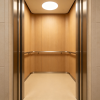 Ascenseur de villa avec miroir gravé en acier inoxydable et opérateur de porte rapide pour maisons et villas de luxe au Moyen-Orient