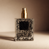 Flacons de parfum en verre carrés imprimés sur mesure, 50-400 ml, avec logo personnalisé, bouchon doré, vaporisateur de parfum, fabriqués en Chine