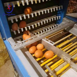 New <strong>Poultry</strong> Farm Equipment Chicken Cage <strong>Automatic</strong> <strong>Egg</strong> Collection System ABS <strong>Egg</strong> <strong>Conveyor</strong> Pipe Durable Spare Parts Manure <strong>Belt</strong> - Product Image 3