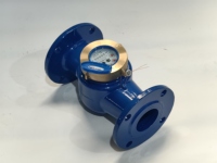Chenshuo Rotary Vane Brass Stainless Steel Water Gauge Meter High Accuracy 2 Liquid Level Measurement Shandong LXS-65 ODM
