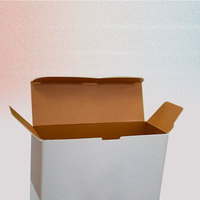 Caja de Papel Plegable para Cuidado de la Piel con Tapa Superior Abatible a Ambos Lados, Fondo con Cierre Automático, Fácil de Cerrar, Laminación Mate, Reciclable, Venta al Por Mayor