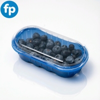 Boîtes en plastique transparent pour fruits, contenants en plastique PET pour fruits, boîtes à fruits ventilées, boîtes en plastique pour fruits secs, boîtes en plastique pour bleuets, fraises
