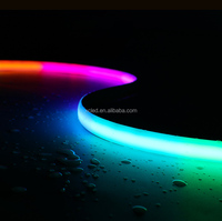Conectividad USB Smart RGB + CCT Tira de luz de neón de alta densidad 1428LED/M WS2811 WS2812B Proveedor DC 24V Decoración de habitación Proveedores de luz LED