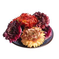 Thé aux fleurs de chrysanthème colorées de qualité supérieure / Thé aromatisé aux fleurs séchées d'Helichrysum Bracteatum