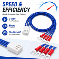 Rangkaian Kabel Harness 3 Pin Kustom dengan Isolasi PVC dan Kawat Tembaga, Dilengkapi Terminal Garpu untuk Peralatan Elektronik