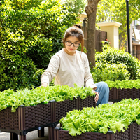 Magic Tools Bac de plantation en plastique Balcogetable spécial pour la culture de légumes en intérieur et en extérieur
