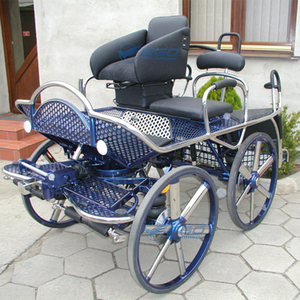 Vente en gros de carrosses à chevaux de style varié, carrosses Victoria, fabricant de chariots à chevaux à 4 roues - Product Image 2