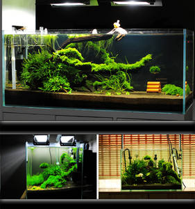 MOSS-S En Plastique <span class=keywords><strong>marimo</strong></span> moss balle Aquarium Plante Mousse Boules - Product Image 5