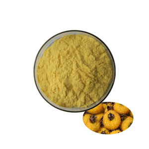 Estratto professionale di rosa di castagne naturali 10:1 estratto di rosa roxrotonde SOD 3000 VC 2% - Product Image 2