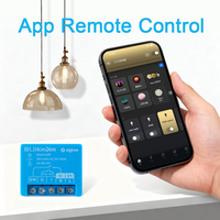 Le relais Zigbee fonctionne avec Home Assistant Green