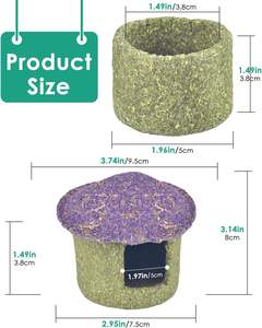 Tazón para masticar hámster y escondite Timothy Hay golosinas comestibles para hámster pequeño Ratones Rata Mascotas pequeñas Seta de hámster - Product Image 6