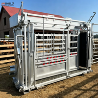 Cage d'immobilisation pour bovins avec fonction de palpation pour les exploitations bovine