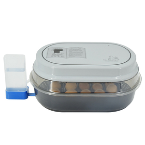 Janoel Thêm Nước Tự Động Nhỏ Lồng Ấp Trứng Gà Bố Mẹ JN18S Lồng Ấp - Product Image 2