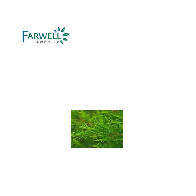 Farwell الطبيعية الأسترالية زيت شجرة الشاي