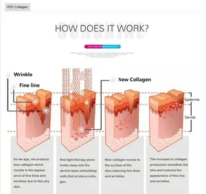 Cama de Bronceado con Terapia de Luz Roja LED, Tipo Cápsula, para Interiores, con Cobertura <span class=keywords><strong>UVA</strong></span>/<span class=keywords><strong>UVB</strong></span> 360°, para Spa y Salón de Belleza - Product Image 5