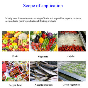 <span class=keywords><strong>Lavadora</strong></span> Industrial de Burbujas para Kiwis, Piñas y Calabazas - Product Image 3