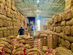 Fibre de coco de haute qualité COIR NET CORDE Fibre naturelle écologique Anti-bactéries Motif teint en brun naturel pour le remplissage - Product Image 6