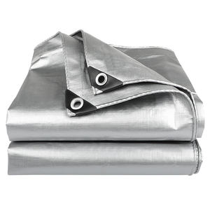 Bâche en polyéthylène à prix avantageux, couverture de <span class=keywords><strong>serre</strong></span> agricole, bâche imperméable anti-UV, tentes de camping, bâche en PE - Product Image 1