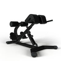Équipement de gymnastique commerciale de haute qualité Fitness Musculation Machine d'extension arrière réglable