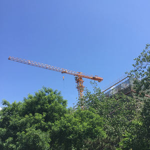 Topless Tower Crane PT6015-8 - Product Image 1