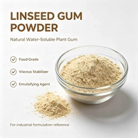 Extrait de gomme de lin naturel blanc cassé en vrac, matière première de lignanes SDG pour la formulation alimentaire et cosmétique