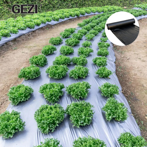 Film de paillage agricole non tissé biodégradable <span class=keywords><strong>noir</strong></span> 30 microns pour la plantation de l'<span class=keywords><strong>ail</strong></span> et de l'ananas - Product Image 5