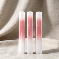 Tube de brillant à lèvres vide rose dégradé de 4 ml, flacon carré pour gloss, conteneur cosmétique pour huile à lèvres avec applicateur