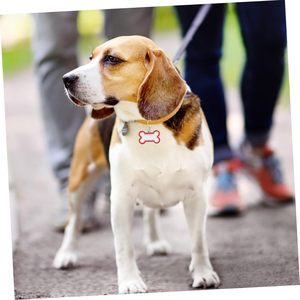 Prix raisonnable Conception gratuite Meilleure qualité Étiquettes d'identification pour animaux de compagnie Fournisseur Personnalisé Personnalisé Métal Anti-perte Nom d'animal de compagnie Qr Code Étiquettes de chien - Product Image 6