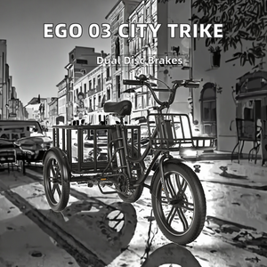 48V 18Ah EGO 03 Tricycle électrique Cargo moteur moyeu arrière acier <span class=keywords><strong>5</strong></span> vitesses avant arrière paniers 250W adultes 120kg vélo de ville - Product Image 2