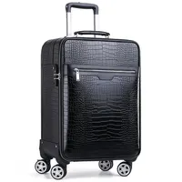 Rolling Luggage Collection for Men