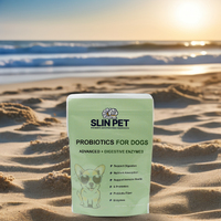 Suppléments nutritionnels probiotiques pour animaux de compagnie avec probiotiques et enzymes pour soutenir la digestion dans les produits à mâcher mous OEM/ODM pour chiens