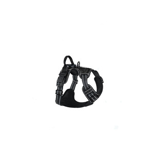 Arnés Luminoso LED para Mascotas, Talla Mediana, con Luces para Pasear Perros y Mayor Seguridad - Product Image 4
