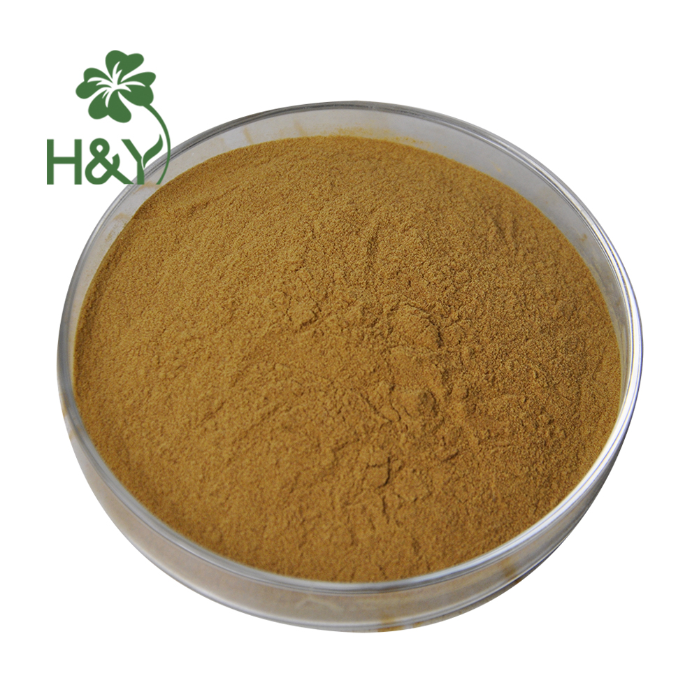 Top quality polyporus umbellatus extract/ polyporus umbellatus/ polyporus umbellatus mushroom extract 10:1