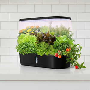 Indoor Garden Hydroponic Garden System Vegetable Growing Led Tray <strong>Microgreen</strong> Grow System Veget Garden Kit - Product Image 3