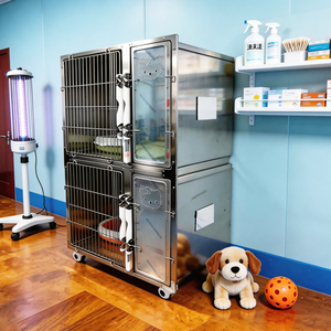 Jaula de Acero Inoxidable de Doble Capa de Alta Gama <span class=keywords><strong>para</strong></span> Gatos, Estilo Simple, con <span class=keywords><strong>Bandeja</strong></span> de Plástico, Recinto <span class=keywords><strong>para</strong></span> Mascotas, <span class=keywords><strong>para</strong></span> Uso en Clínicas Veterinarias - Product Image 4