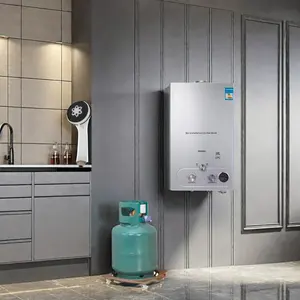 Calentador de agua de Gas para el hogar, dispositivo de calor instantáneo sin fin, GLP/LNG, el más vendido
