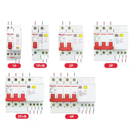 DELIXI DZ47LE Dispositivo de Corriente Residual (RCD) 2P 100A 250A 400A Interruptor Diferencial Ajustable 6kA 400V/230V para Bomba Industrial