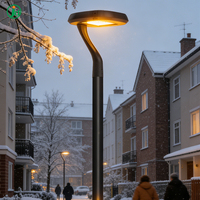 Lámpara de Jardín LED de Aluminio para Exteriores, Impermeable IP66, con Interruptor Automático, Alimentación CA, 60W, para Paisajes y Carreteras